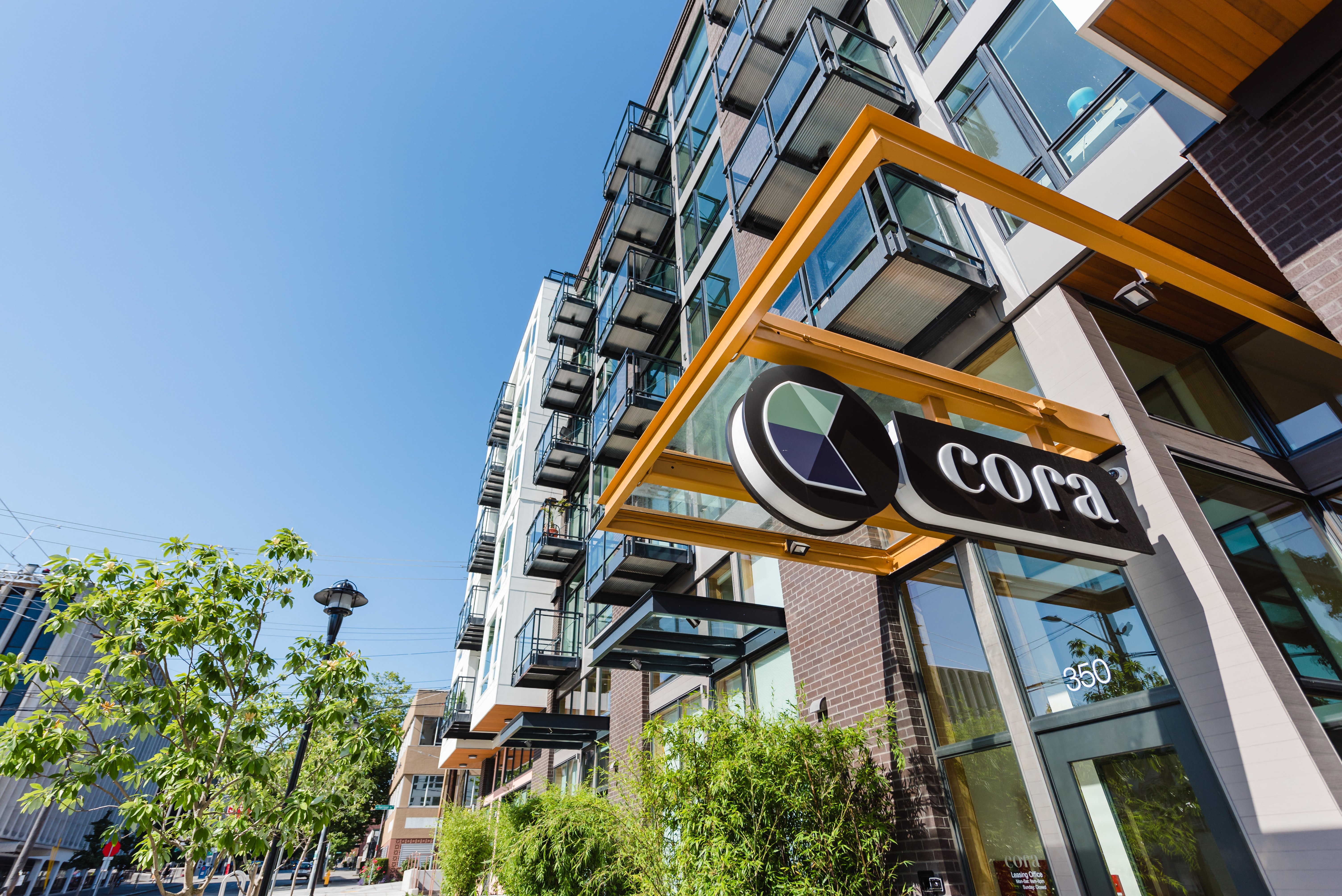 Cora Queen Anne — image 21